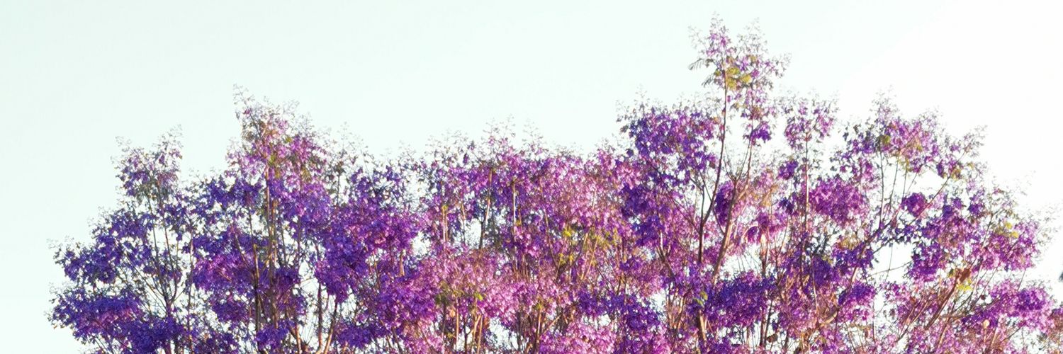 PetiteRebe's profile banner image