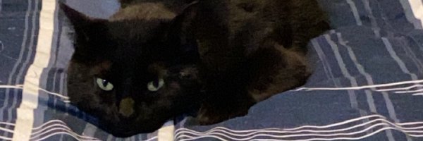 cwrogers6 Profile Banner