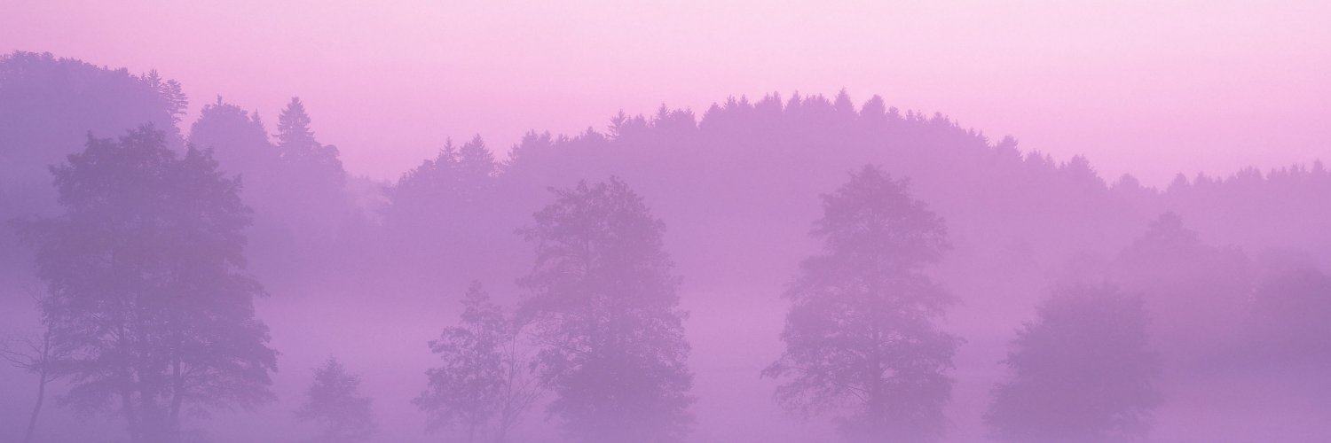 HamburgerSplash's profile banner image