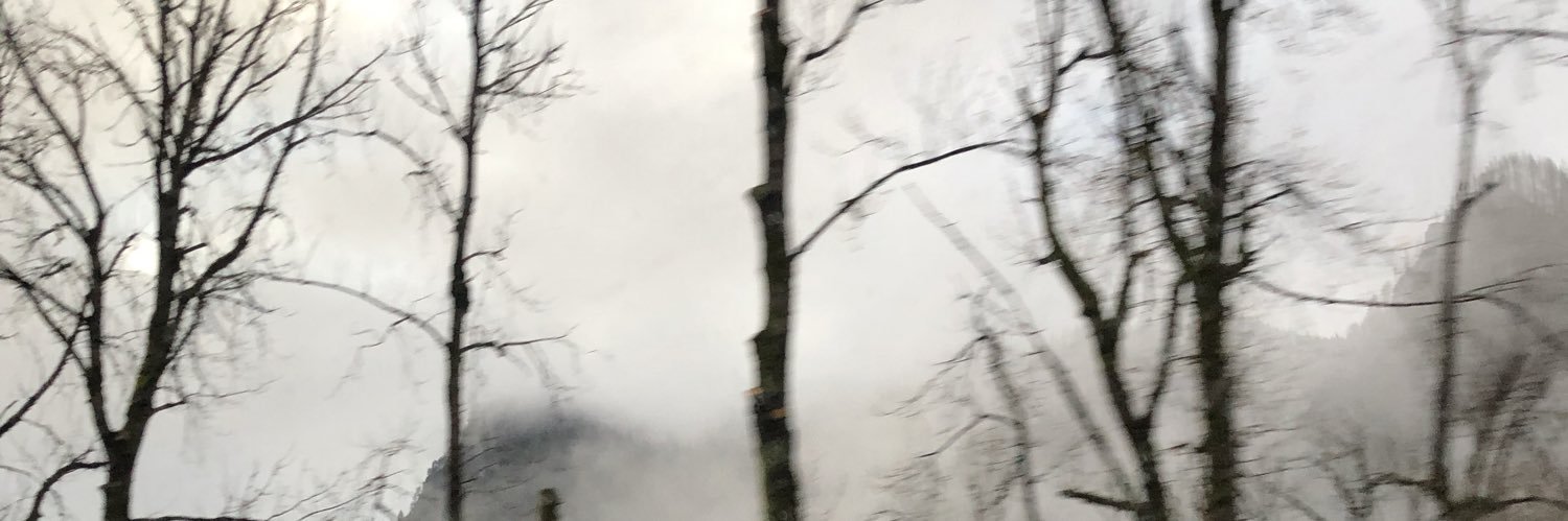 luulubby's profile banner image