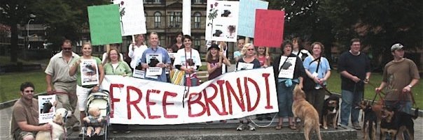 BrindisMom's profile banner image