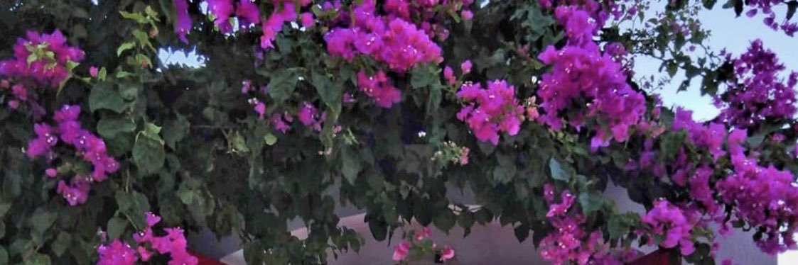 alsultan_7997's profile banner image