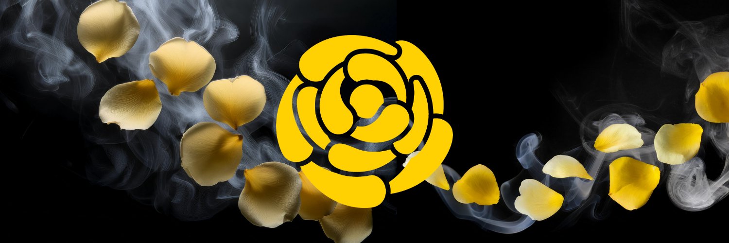 EDMPeterParker banner