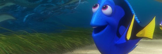 _basilllll's profile banner image
