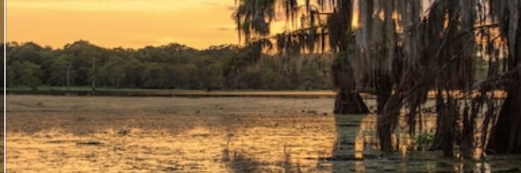 LoquaciousDee's profile banner image