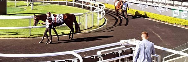 Jayden Beattie banner