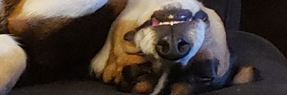 RunLoso's profile banner image