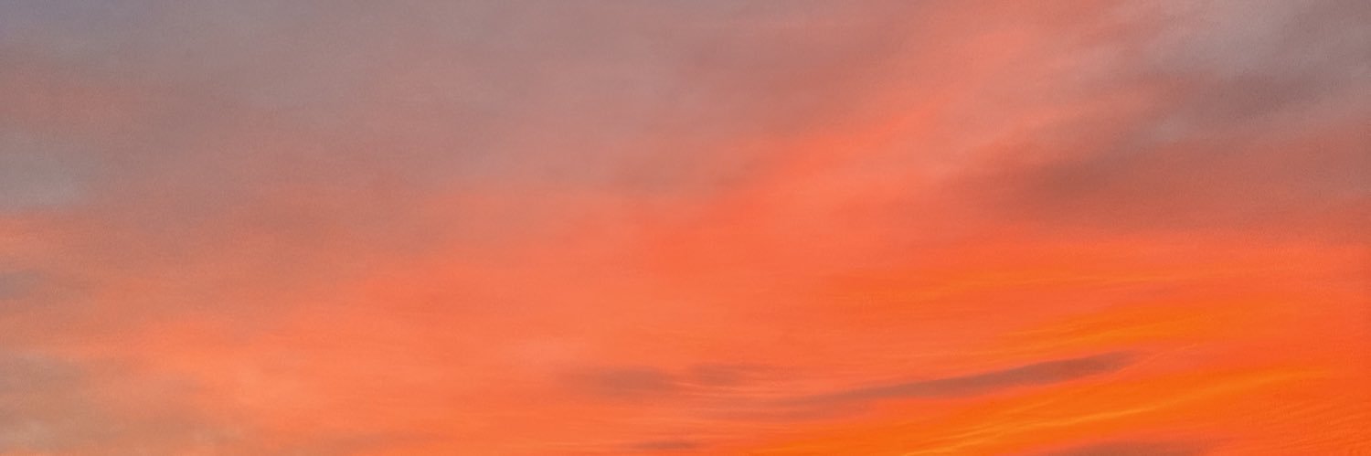 mmacex banner
