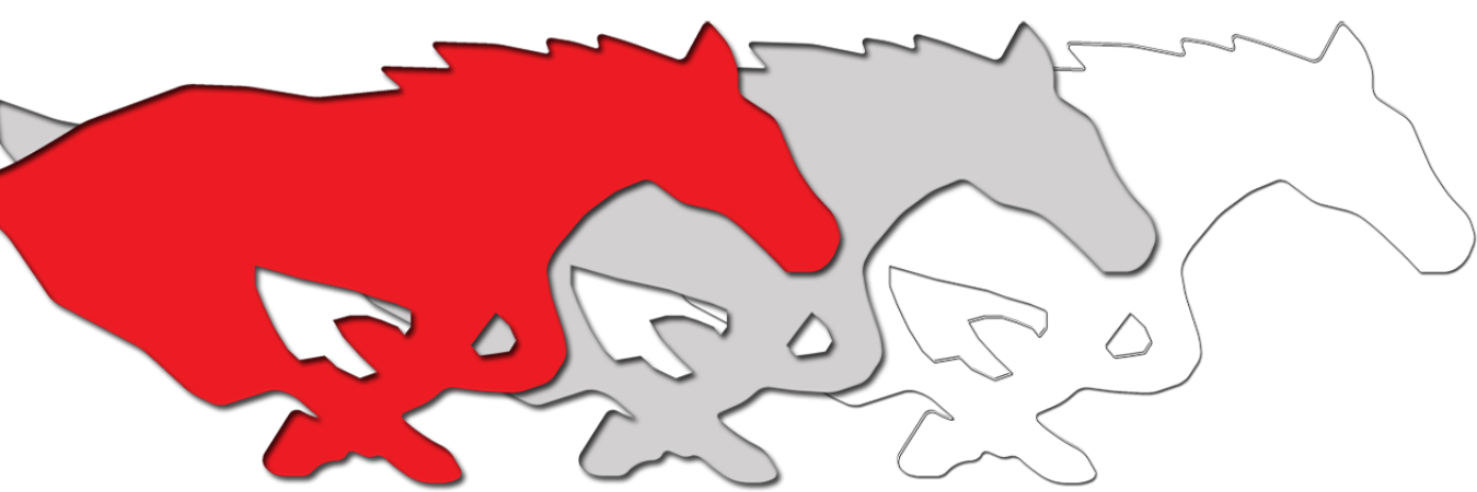 Rancho Verde HS banner