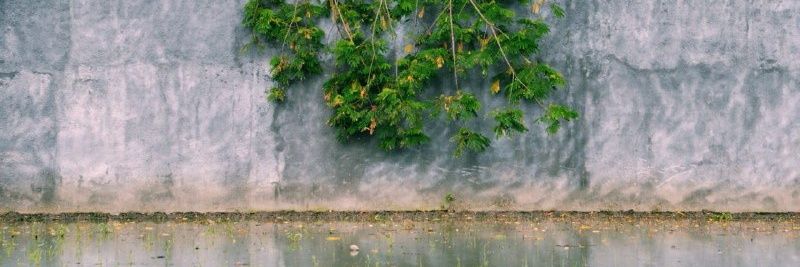 mzc0s's profile banner image