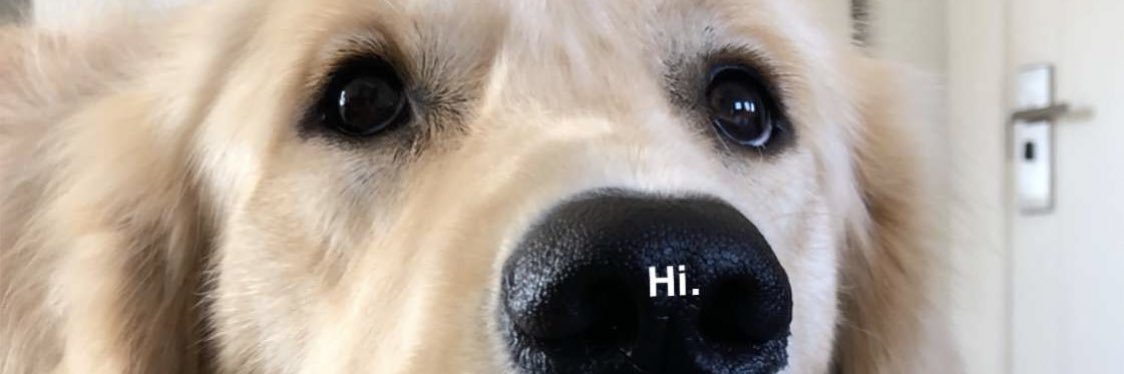 teryn carmichael banner