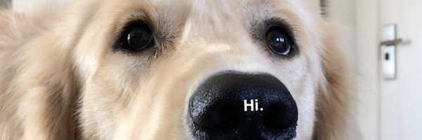 teryncarmichael Profile Banner