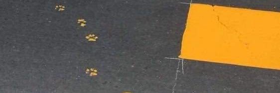 PeerakitW's profile banner image