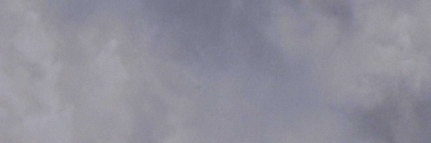 Eka_Fernandez's profile banner image