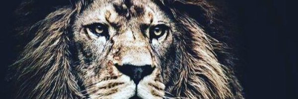 curtis0palmer Profile Banner