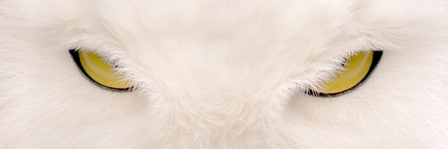 vantablvcc's profile banner image