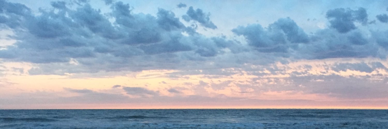 zoelavvvv's profile banner image
