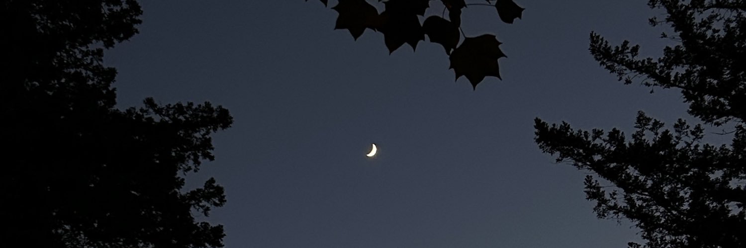 windows_down's profile banner image
