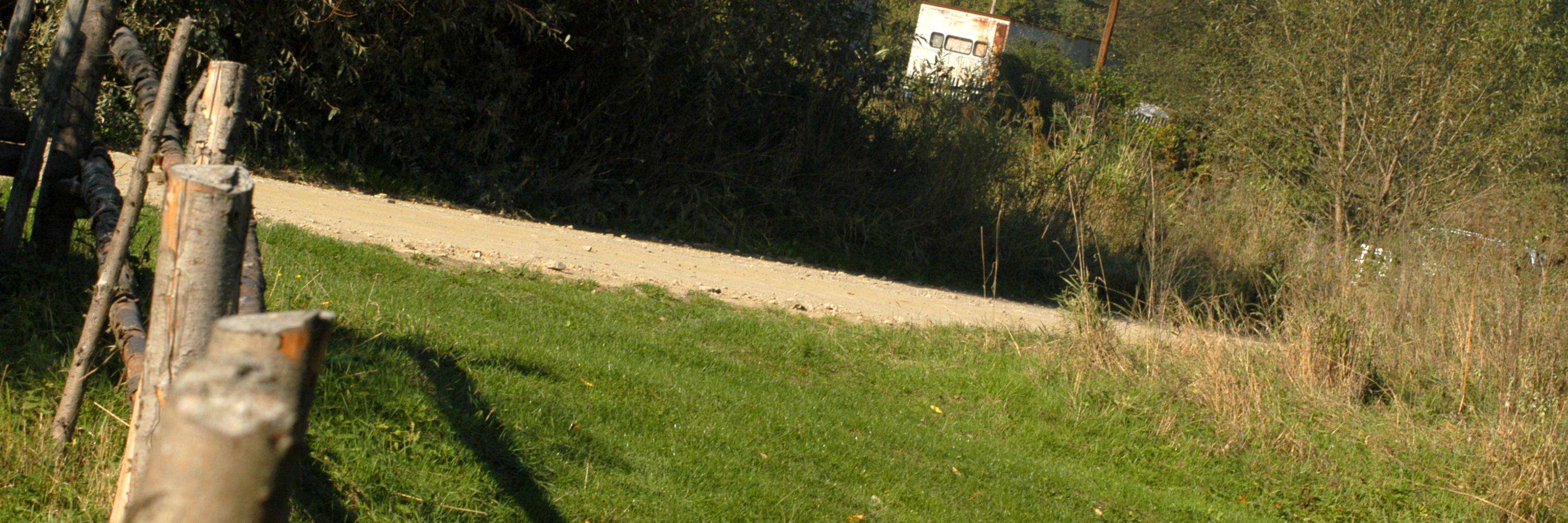 RallyInUkraine's profile banner image