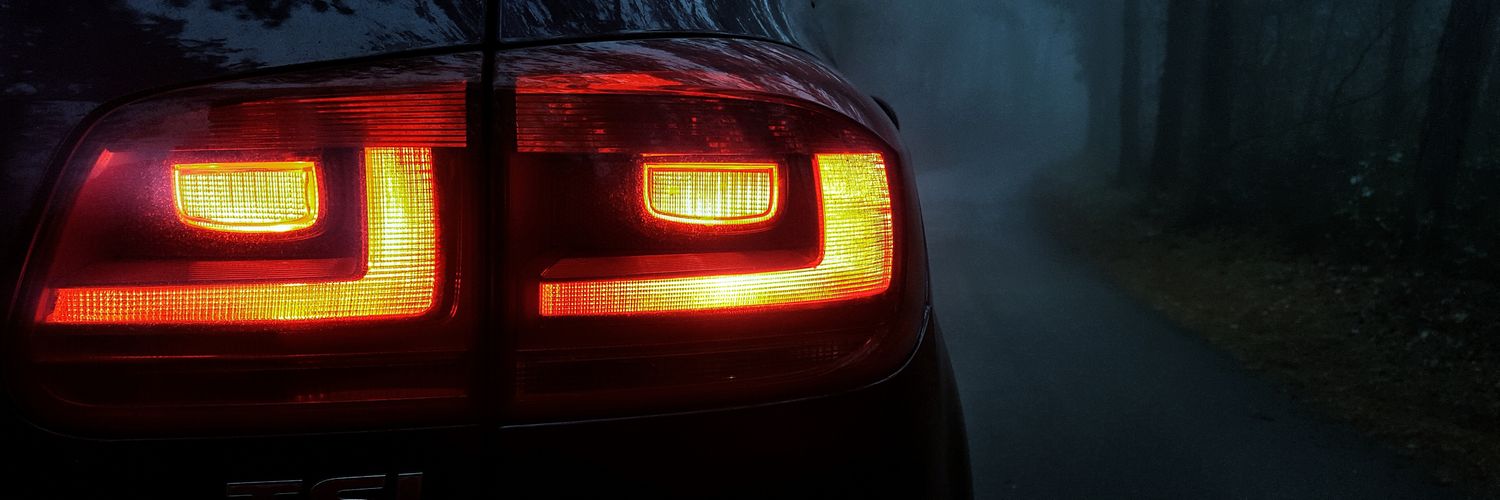 alessandro zocchi banner