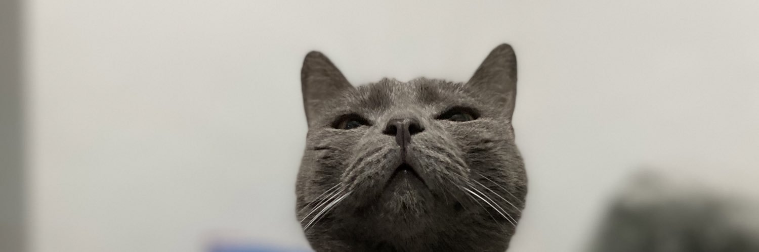 linaabadeer's profile banner image