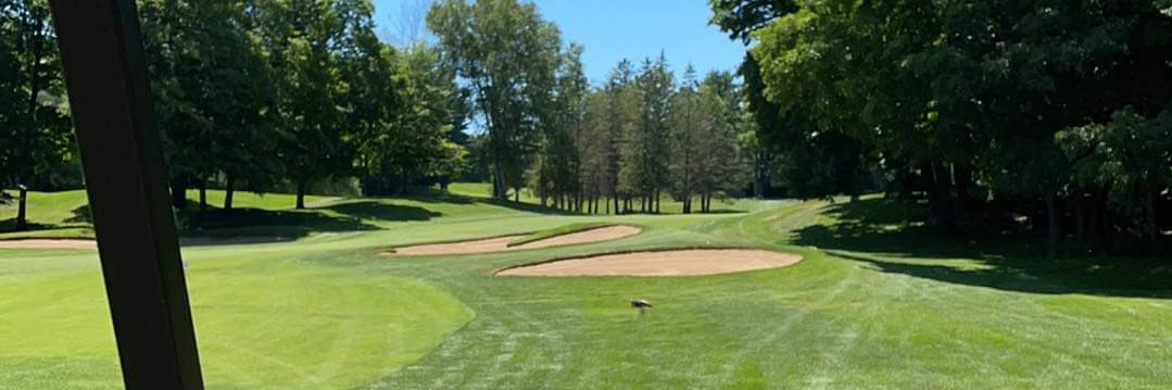 Pier-Yves Thibodeau banner