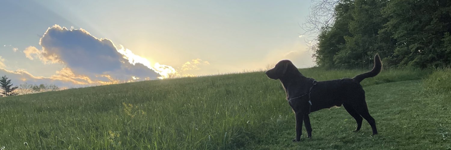 J_Cald's profile banner image