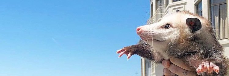hello_emk's profile banner image