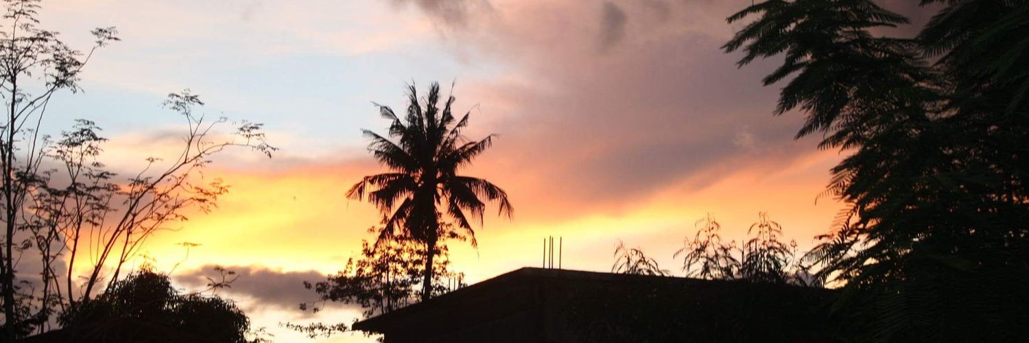 Anabananaseven's profile banner image