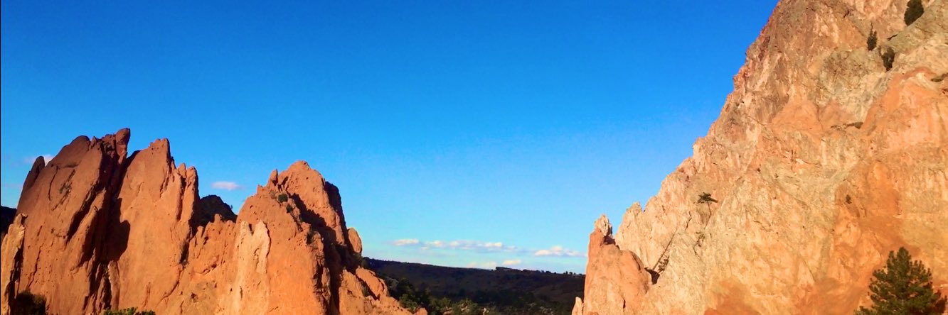 Steve Buzzard banner