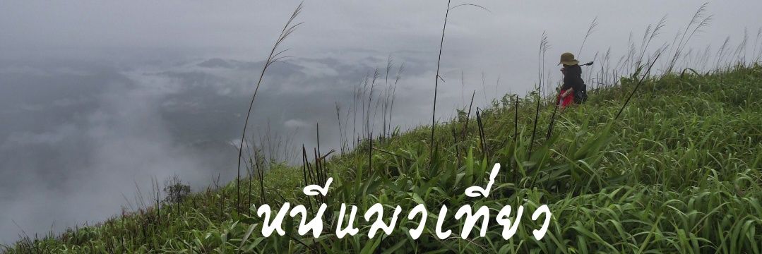 lukanaoat's profile banner image