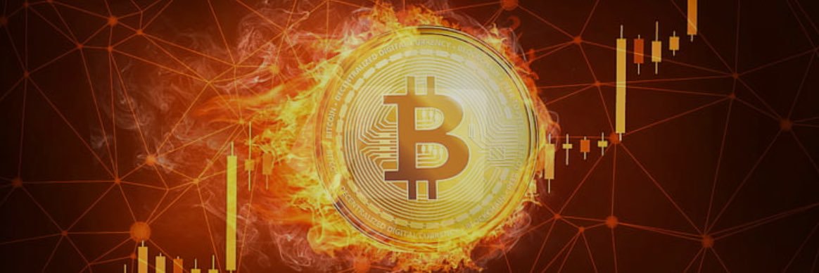 The G of Crypto banner