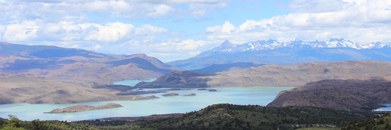 Robert Signer banner