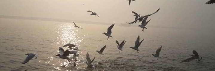 Ashutosh R Varmaa banner