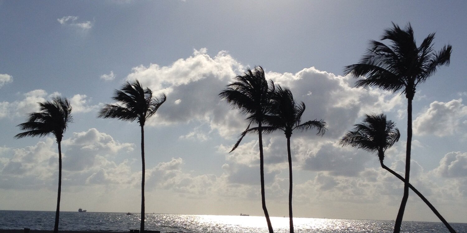 Amy Fusarelli banner