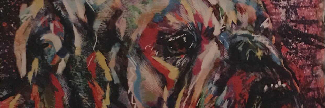 StayCdubyew's profile banner image