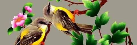 nepalitiger26's profile banner image