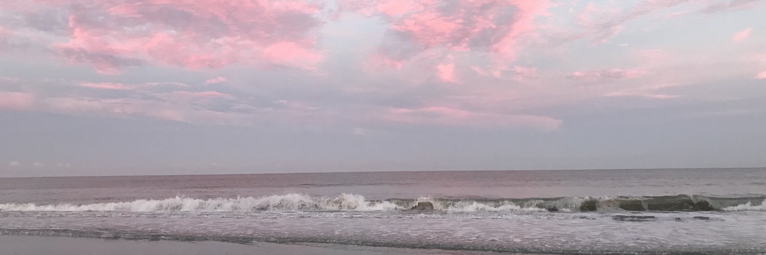 Melissa Cornibe banner