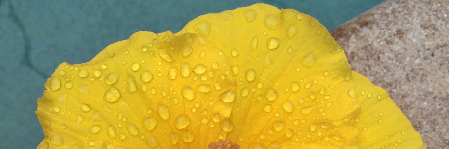PatiMoore's profile banner image