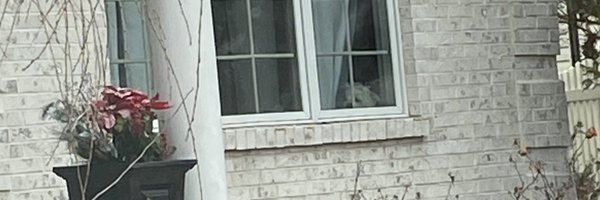 SidelineSwami1 Profile Banner
