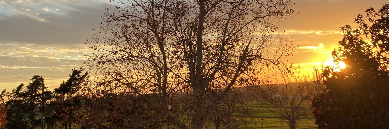KeylaTerrazas's profile banner image
