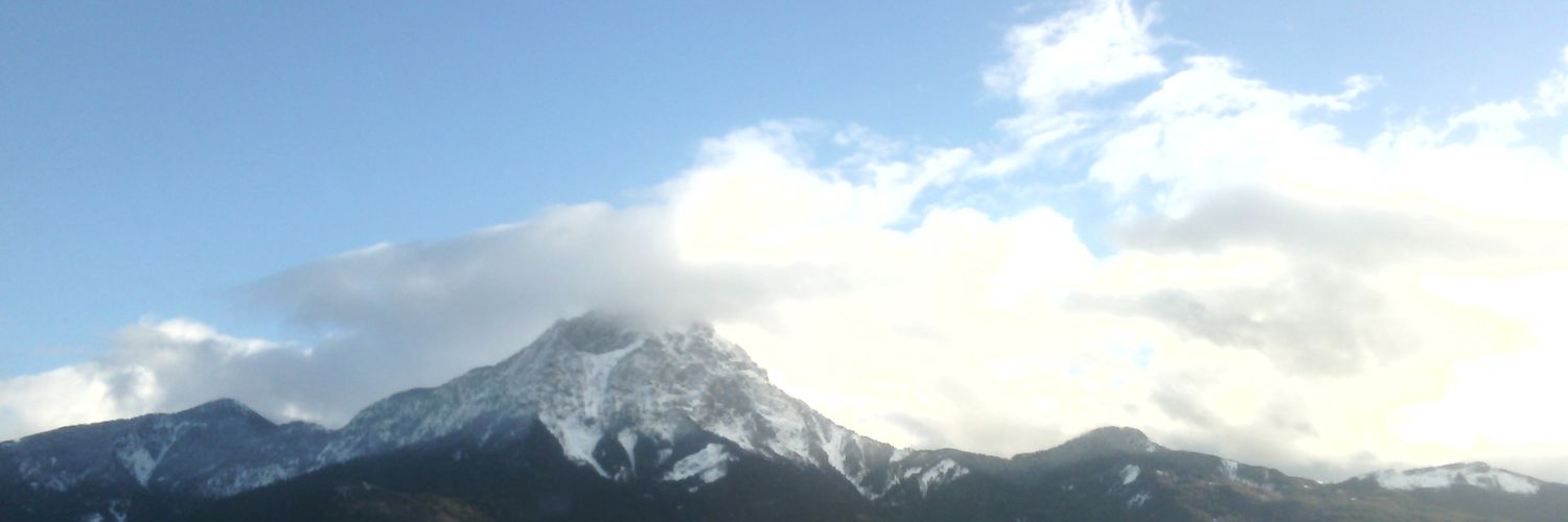 YeelloW___'s profile banner image