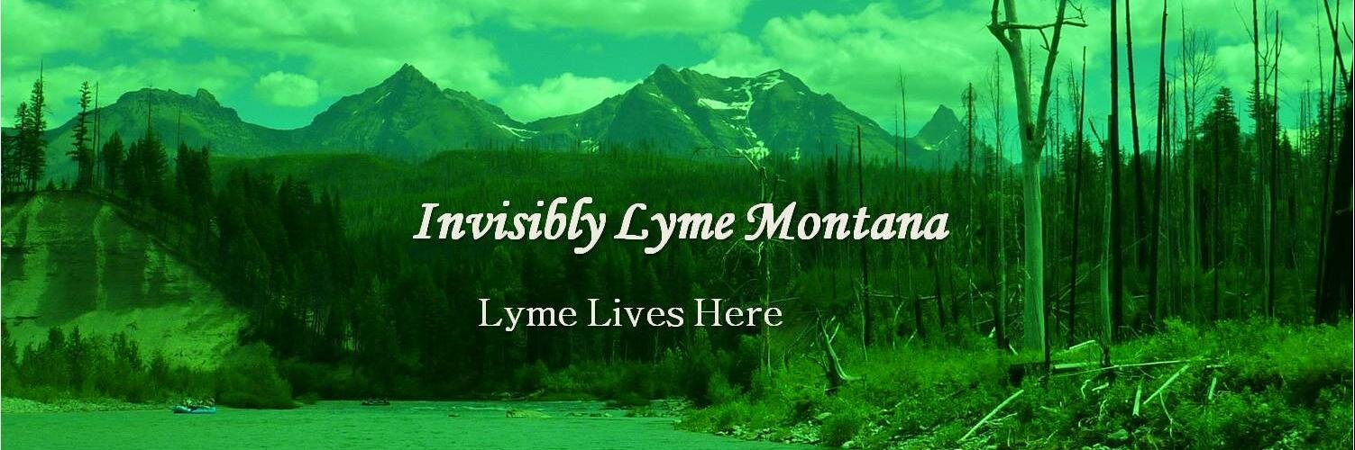 InvisiblyLymeMT's profile banner image