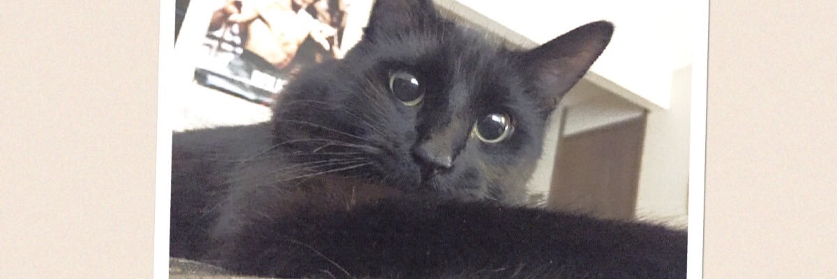SamWheeler516's profile banner image