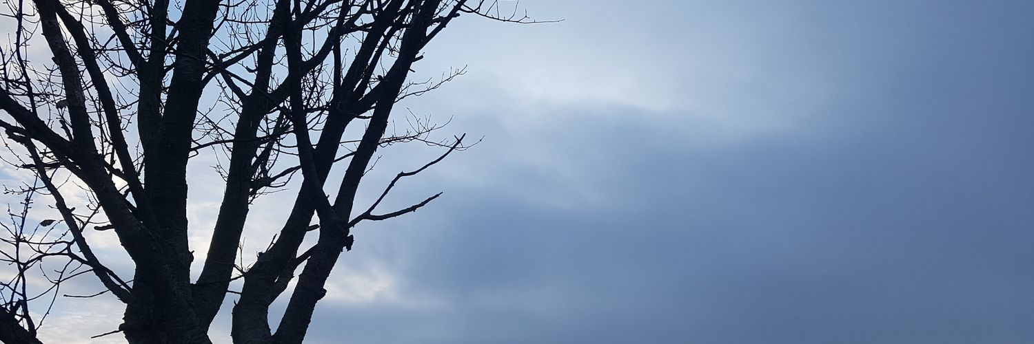 Matthias_Ba's profile banner image