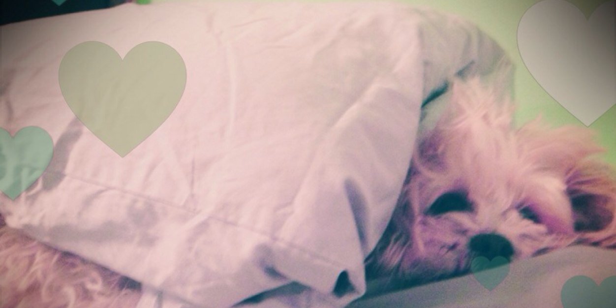 hoperzmarie's profile banner image
