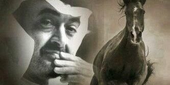 alshamsi73's profile banner image
