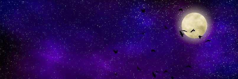 DaddyZach69's profile banner image