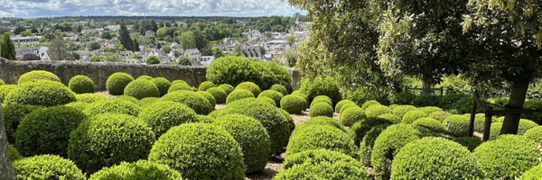 takatezu Profile Banner