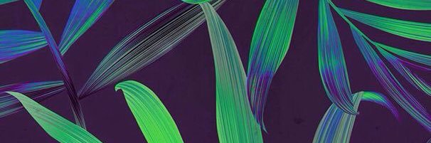 Hsnarmli's profile banner image